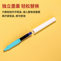 得力 A925 练字钢笔EF暗尖(混) (1支笔/卡) 学生文具 5支装
