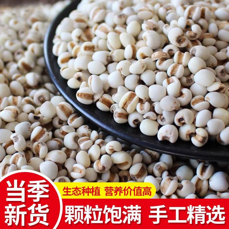 汾都香优选农家新货新鲜薏米仁500g高清大图