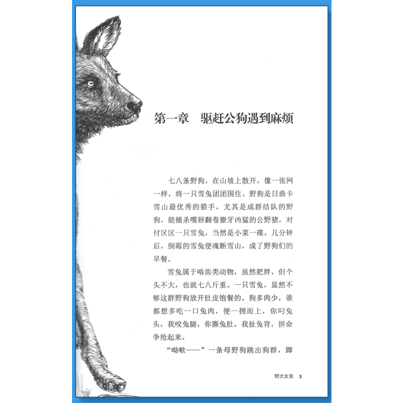 鹭鸶谷传奇 [正版]野犬女皇沈石溪小学四年级五年级全集全套书浙江少年儿童出版社非注音版完整版动物小说大王品藏书系小学生课