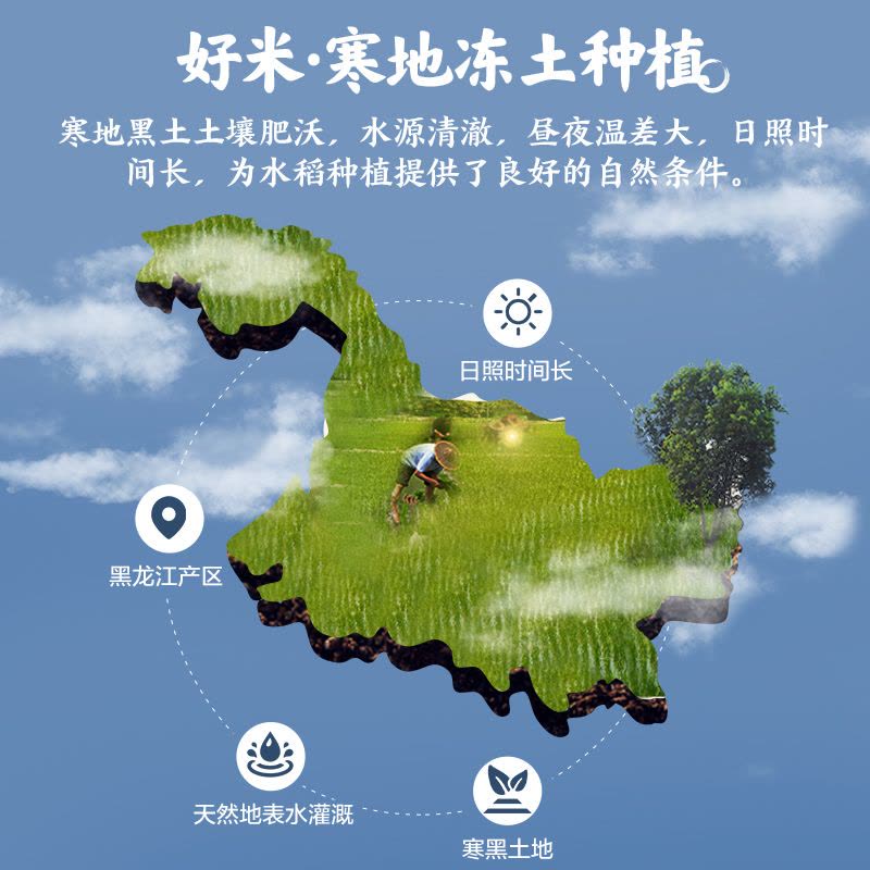 自营酥田东北长粒香大米5kg 东北大米10斤装 当季新米 真空包装图片