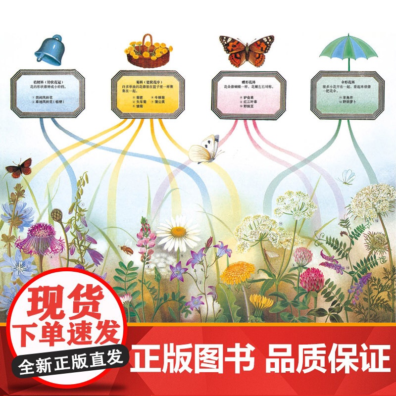 最美的科普第一辑全套6册系列四季时钟草地时钟大地时钟蝴蝶树木花的时钟乌纳雅各布绘本小学生三四年级课外书籍9-12岁耕林童高清大图