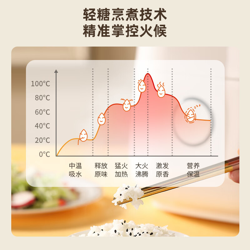 LOTOR浣熊电饭煲家用智能小型电饭锅柴火饭多功能米饭锅3升2-4人 白色标准款3L