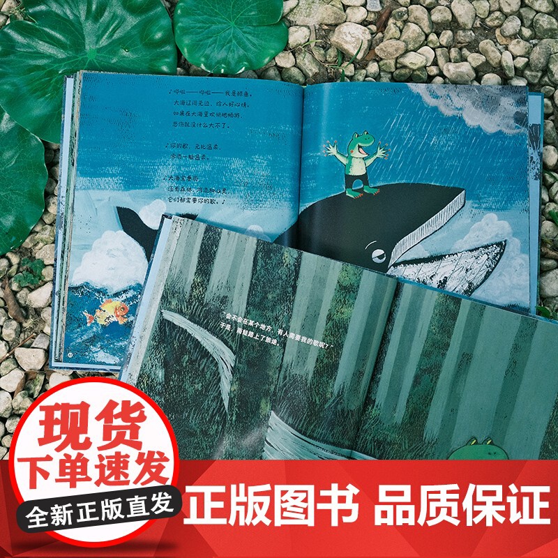 唱歌吧,小雨蛙!高清大图