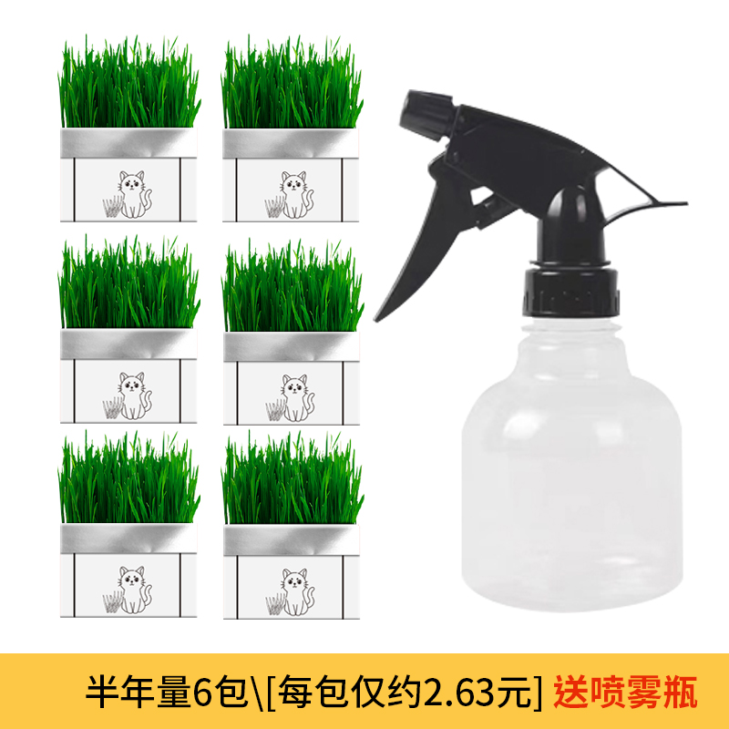 【补贴10%】猫草盆栽化毛草种子非已种好懒人小麦种子猫咪零食品水培营养种植 半年量6包\每包仅2.63元送喷雾瓶