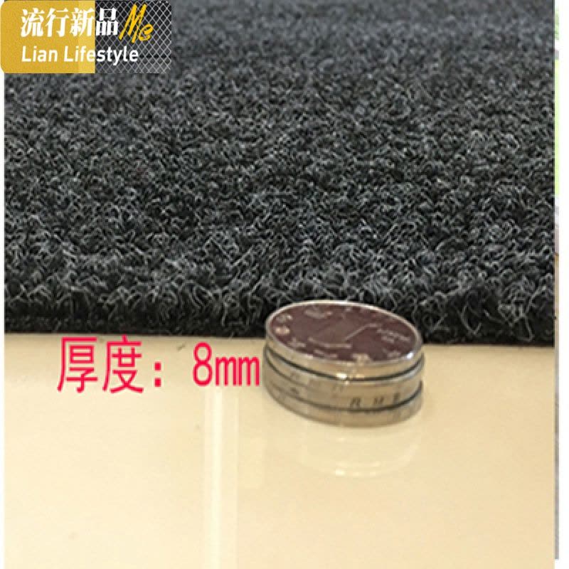 厅地毯垫脚垫进地垫厨房定制可裁剪大口地垫入家用吸水 三维工匠图片