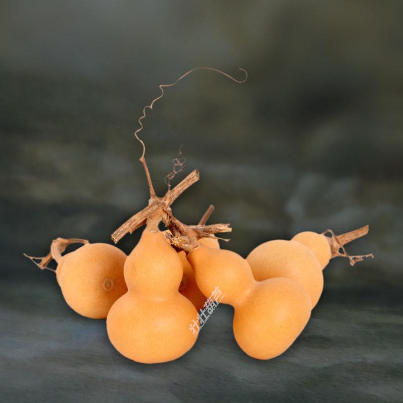 天然龙头小葫芦挂件手捻把玩小葫芦家居摆件葫芦视频