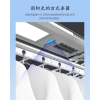 闪电客智能电动晾衣架家用阳台升降晒衣伸缩杆遥控室内自动烘干双杆 单功能ZK1921太空银()