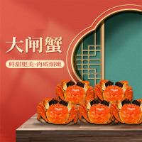 【活蟹】五个农民 南京高淳固城湖精品大闸蟹 公4两母3两 4对8只