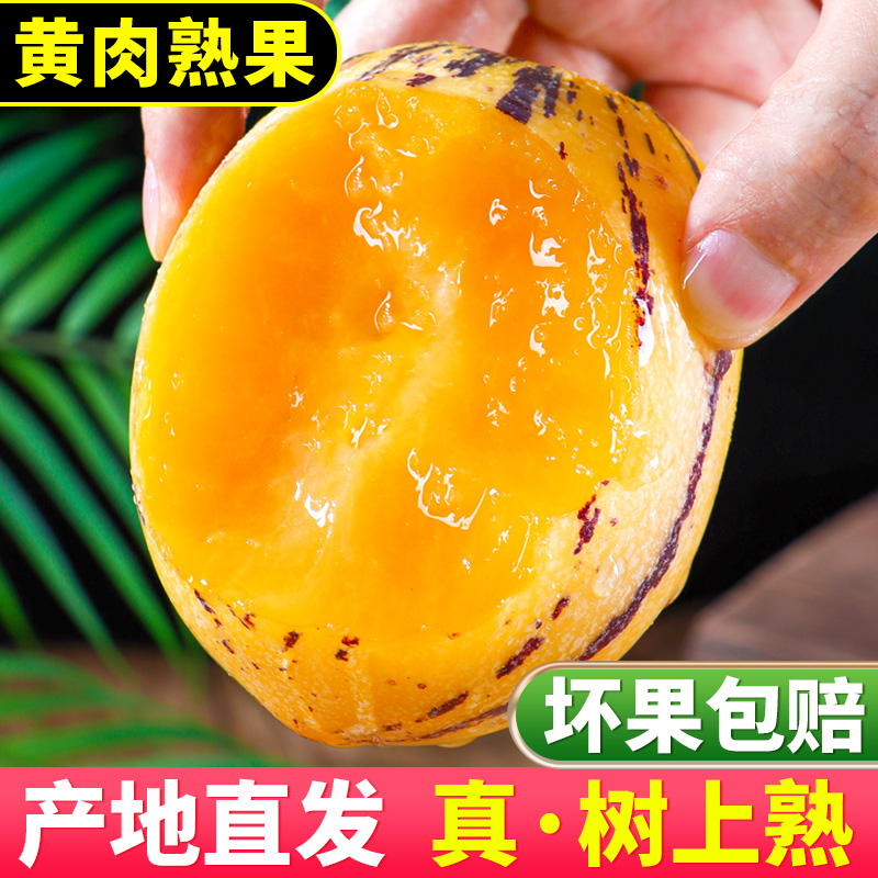 [西沛生鲜 ]甘肃民勤沙漠人参果 净重4.5斤 中果 新鲜水果整箱一级人生果