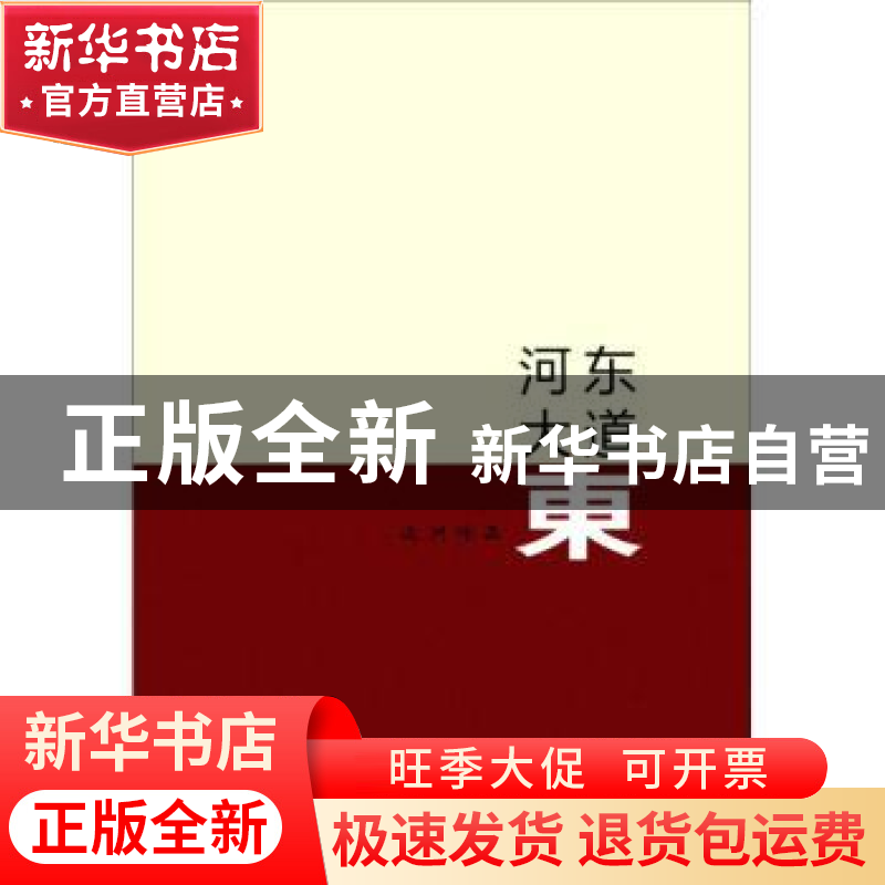 正版 河东大道东 远洲 山西人民出版社 9787203097167 书籍