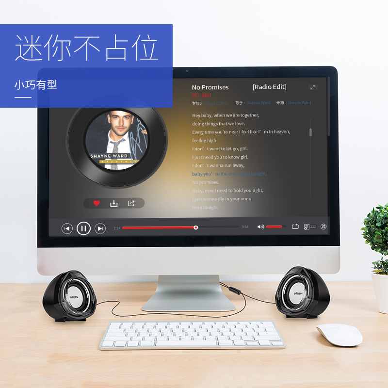 飞利浦(PHILIPS) 台式电脑音响家用重低音炮迷你多媒体笔记本小音箱喇叭有线usb带线控有源音箱 SPA311带线控高清大图