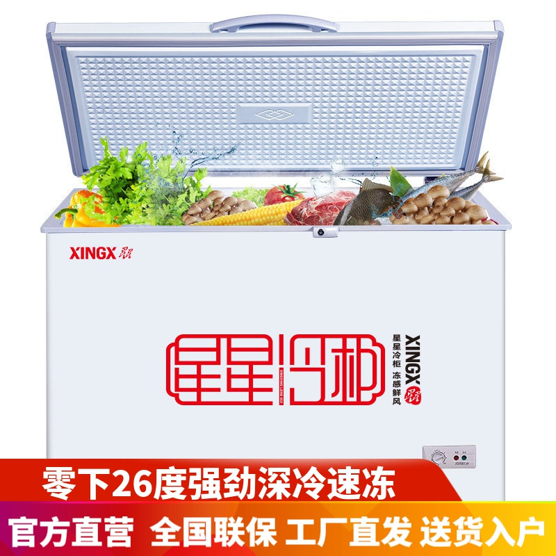 星星(XINGX) BD/BC-305E 305升 冰柜商用家用大容量冷冻柜卧式单温带锁冷藏保鲜冷柜