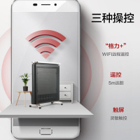 格力(GREE)电热膜NDYP-X6021B取暖器家用节能省电电暖器速热烤火炉硅晶轻音电暖气片WIFI远程遥控