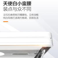 奥普(AUPU)智能杀菌晾衣机L6S 语音遥控 电动升降晒衣机阳台凉衣杆晒被 四杆可伸缩杆挂衣架 L6S电动晾衣架