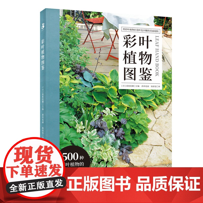 出版社 绿手指园艺图书《彩叶植物图鉴》(日) 荻原范雄主编; 药草花园 陆蓓雯译 500种彩叶植物的应用与搭配高清大图