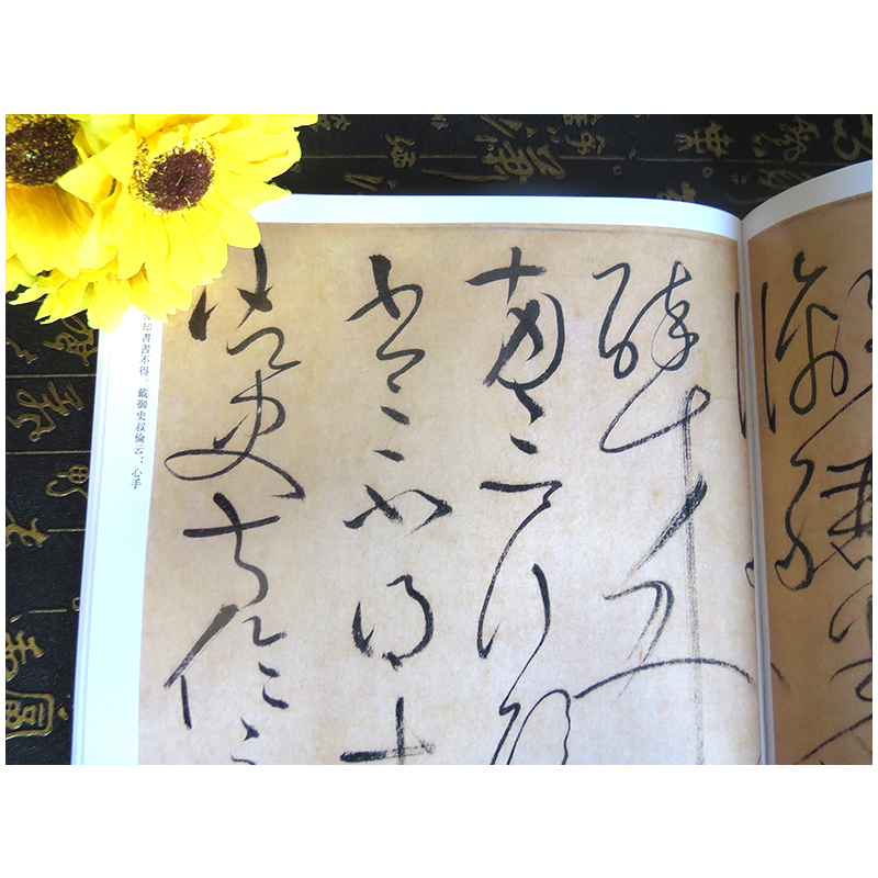 [正版]全两本怀素一怀素二历代名家书法经典繁体旁注草书毛笔字帖书法作品集赏析草书临习狂草四十二章经真迹大小草千字文自叙