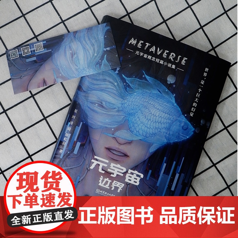 元宇宙:边界 (元宇宙概念短篇小说集。人类命运、人机关系、科技道德、宇宙空间这个时代有什么新变迁?)高清大图