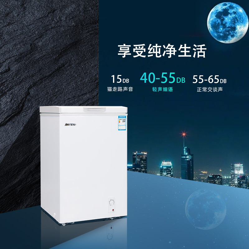 白雪(Baixue)BD/C-100DS100升家用 顶开门 卧式冰柜 冷冻冷藏可转换小型家用冷柜小冰柜