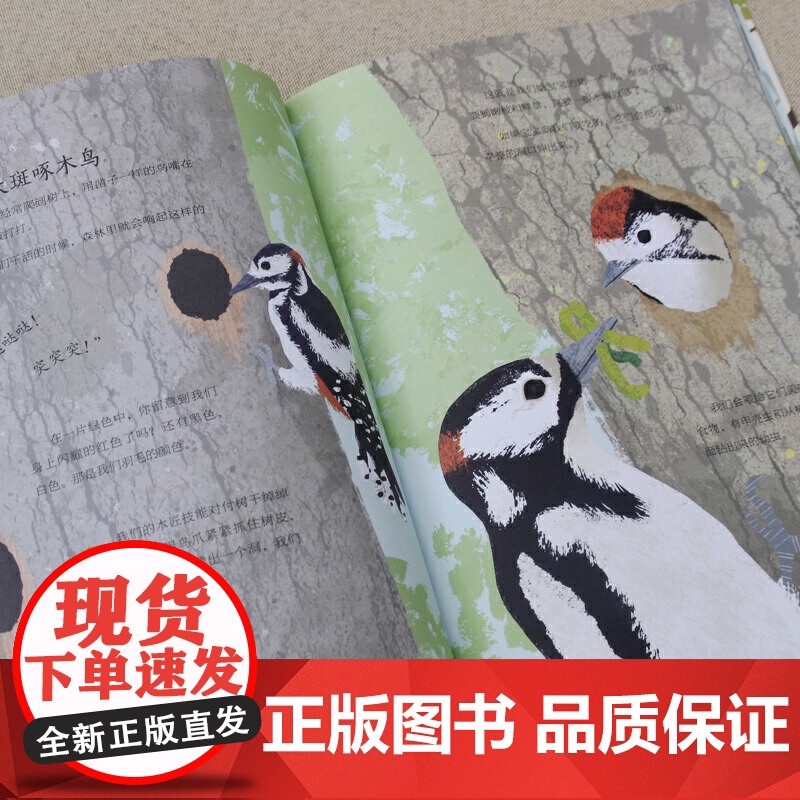 大自然里的酷知识:动物是如何成为建筑大师的?高清大图