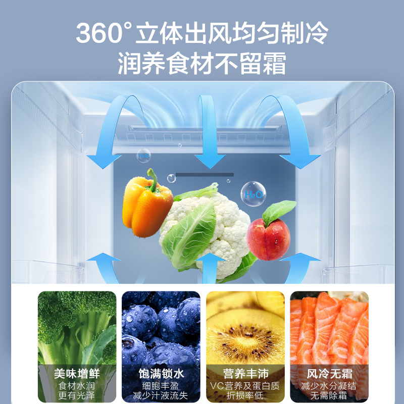 容声(Ronshen)252升三门多门电冰箱变频一级能效节能家用风冷无霜租房小型超薄冰箱 BCD-252WD18NP
