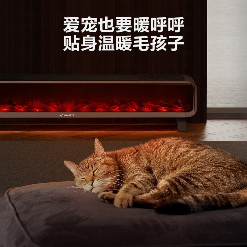 艾美特 HD22-R30U 取暖器 “冬日炭火”石墨烯取暖器踢脚线电暖器 家用 电暖气片遥控加湿居浴两用高清大图