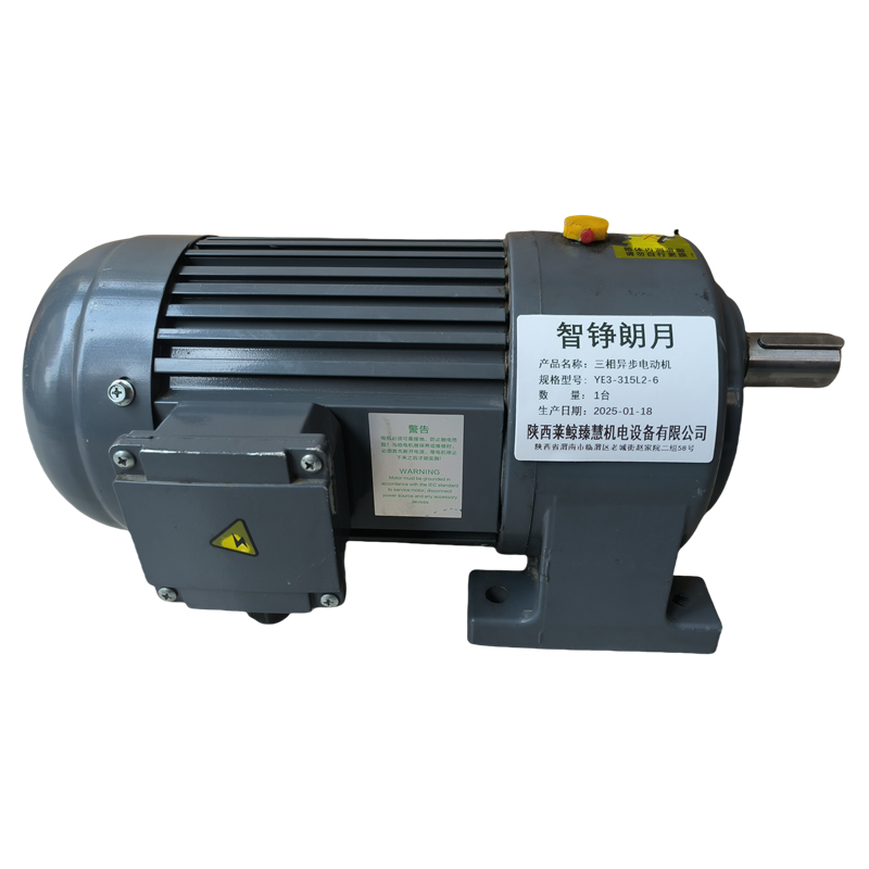 智铮朗月 三相异步电动机 YE3-315L2-6 台高清大图