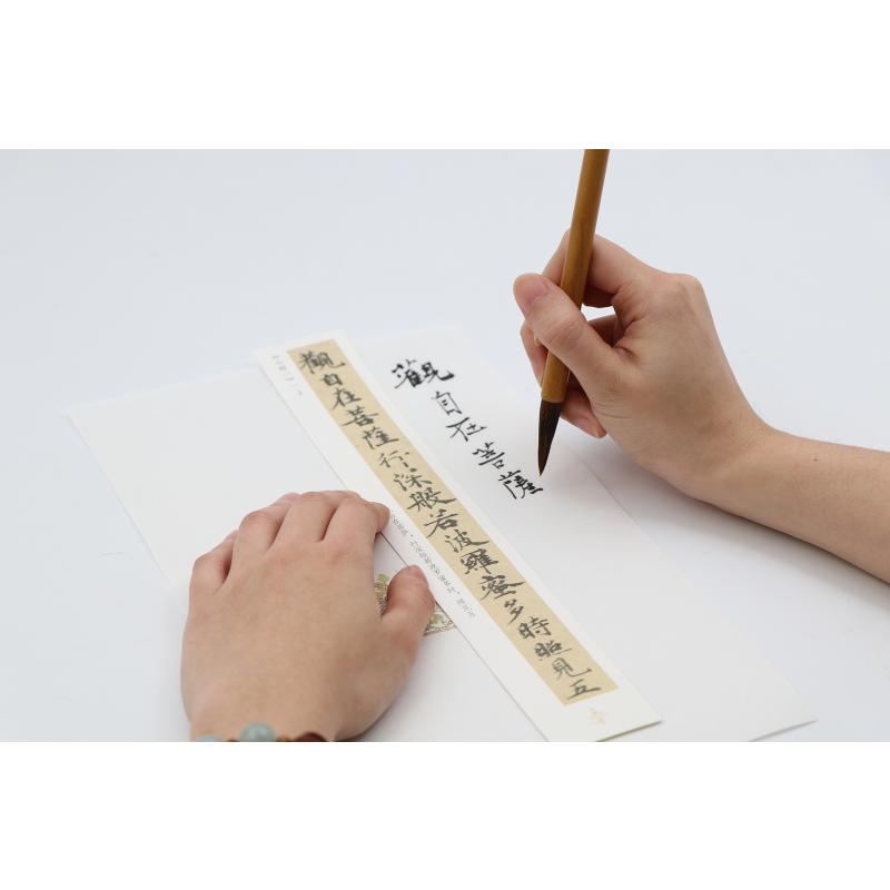 醉染图书兰亭序(二种)/独喜.临赏9787551429580高清大图