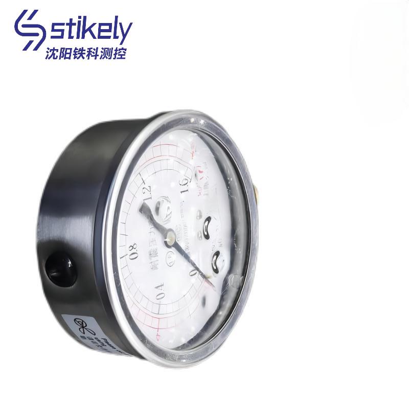 Stikely 耐震压力表 YN-60 0-2.5mpa/块高清大图