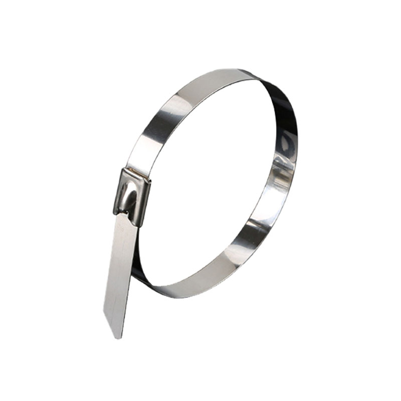 天远鑫景不锈钢扎带15mm*600mm*100/包包高清大图