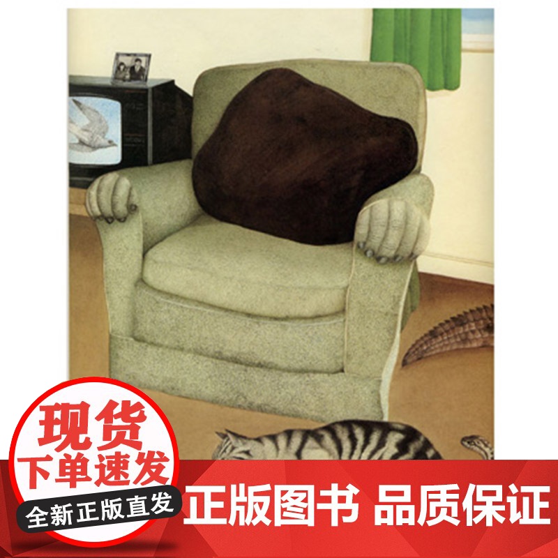 小凯的家不一样了硬壳精装图画书绘本从孩子的心态和视角出发超现实的梦想创作安东尼布朗3岁4岁5岁6岁亲子共读二胎启发正版童高清大图