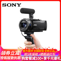 索尼(SONY)FDR-AX60 家用/直播4K高清数码摄像机 DV/摄影/录像 5轴防抖 Vlog 手柄+麦克风拍摄套装 礼包版