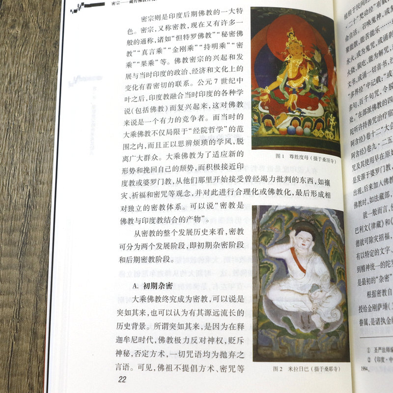 [正版]2册密宗要义+密宗:藏传佛教神秘文化 书籍高清大图