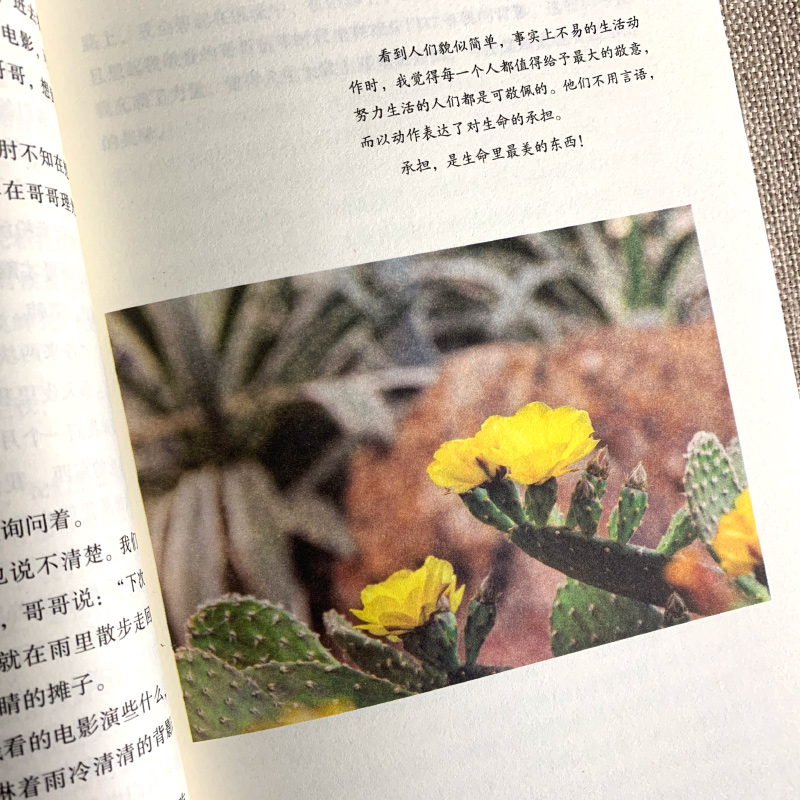 [正版]林清玄散文集散文精选经典作品系列散文集散文精选小说文集林青玄人间有味是清欢温一壶月光下酒初中生青少版长江文艺出版高清大图