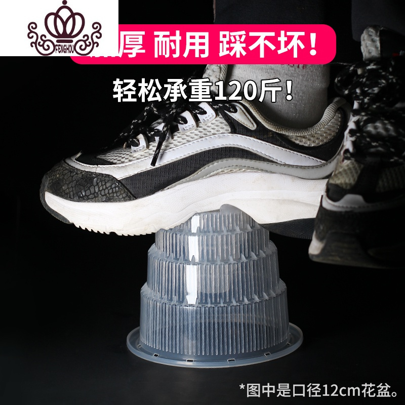 封后美莳透明蝴蝶兰控根花盆透气洋兰专用盆大号塑料树脂家用石斛花盆 [5只][单层盆]口径15cm洋兰盆[带空气柱] 中等