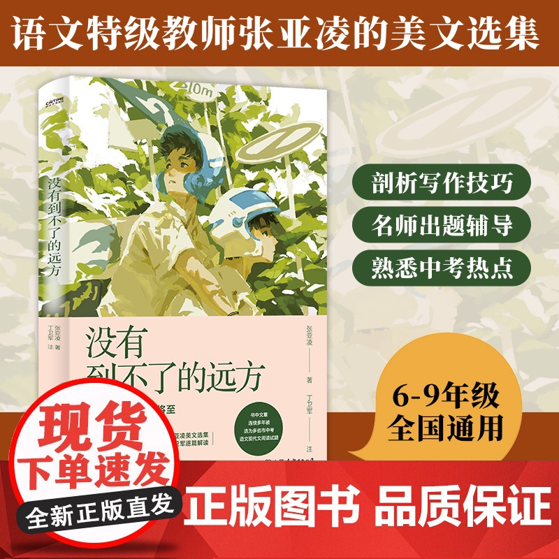 没有到不了的远方 中考语文热点作家作品解析 语文教师张亚凌的美文选集 6789年级通用初中生语文作文阅读书目 中国友谊出高清大图