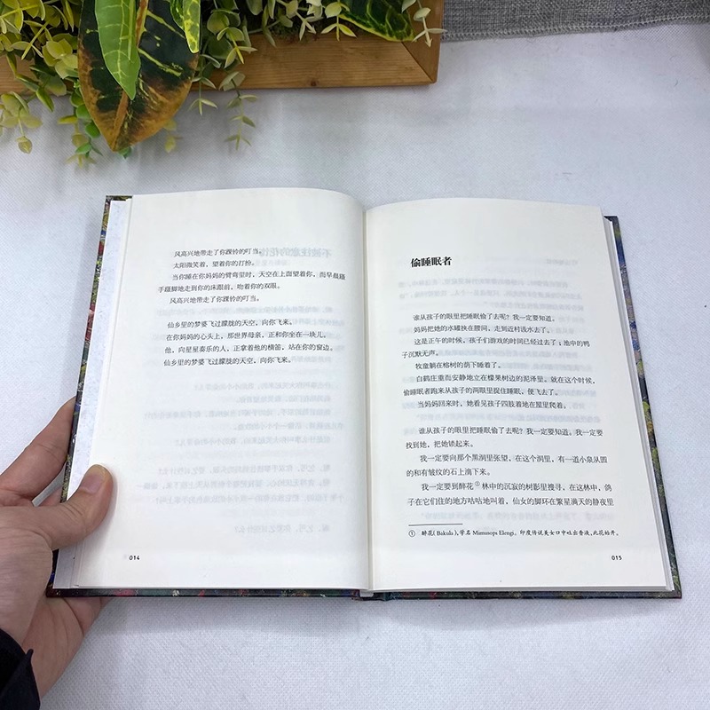 [正版]精装 生如夏花 泰戈尔 经典诗选文学散文诗歌小说书诗歌集精选飞鸟集新月集等诗集世界现当代文学作品生如夏花之绚烂高清大图