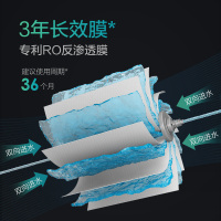 佳尼特A.O.史密斯家族年轻时尚品牌纯水机净水器家用 大白400GRO膜+1,3级滤芯反渗透滤芯