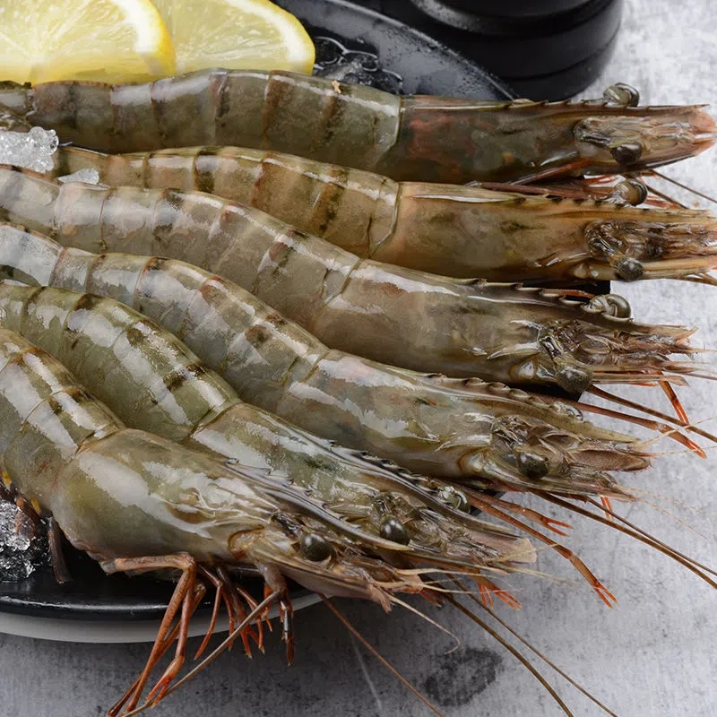 野生黑虎虾虾子大虾 m号大虾14-16cm 两盒装 鲜活新鲜大号 海虾