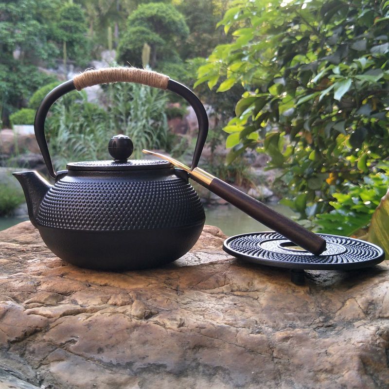 铁壶铸铁茶壶无涂层烧水壶手工泡茶煮水壶日式铁壶套装复古茶具09l