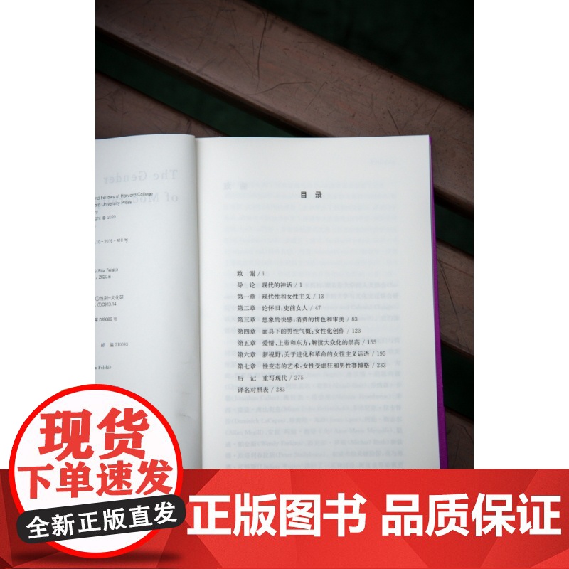 现代性的性别 芮塔菲尔斯基 外国哲学文化研究女性与现代性的各种政治哲学和文化遗产关系排行榜高清大图