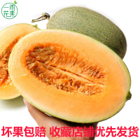 【一雨花果】海南哈密瓜小瓜2个装 （约4-5斤） 新鲜水果网纹瓜甜瓜香瓜