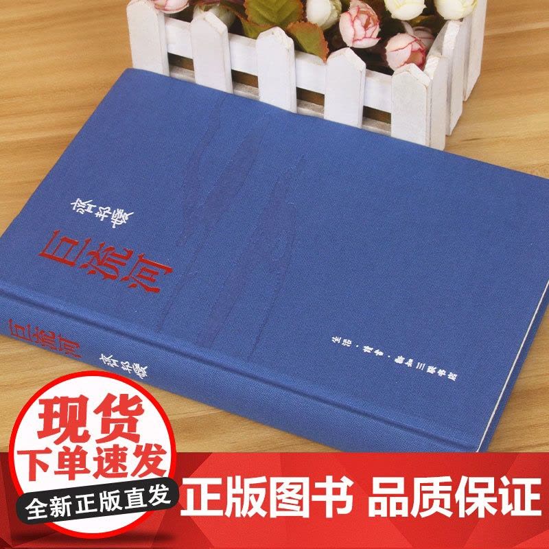 精装纪念新版]巨流河 齐邦媛著近代苦难的家族记忆史 一个并未远去的时代 关于两代人从巨流河到哑口海的故事书籍正版图片
