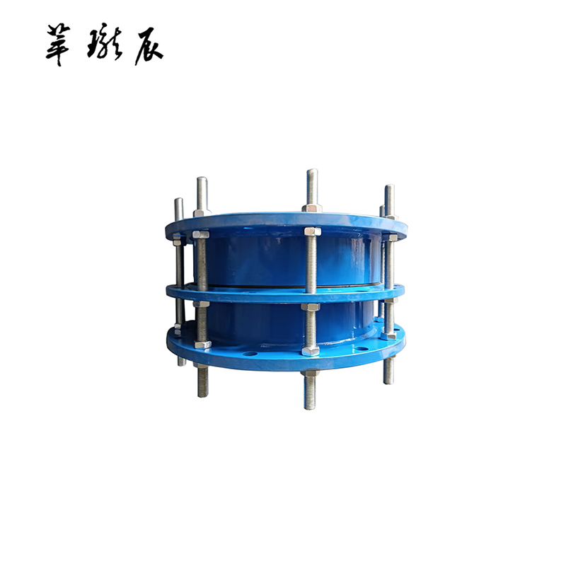 萃珑辰 双法兰伸缩节 DN300 个高清大图