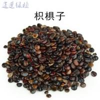 绿植材 枳椇子 枳棋子 解酒 枳具子材 枳苴子 500克