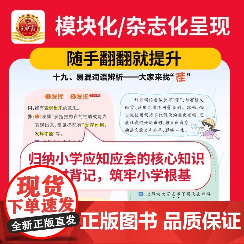 王朝霞核心知识集锦语文基础知识大盘点升学衔接教材一二三四五六年级小学知识大全手册人教版考试总复习小学知识工具书大盘点高清大图