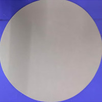 hizhg丨带背胶10寸自粘砂纸（100张）；P500