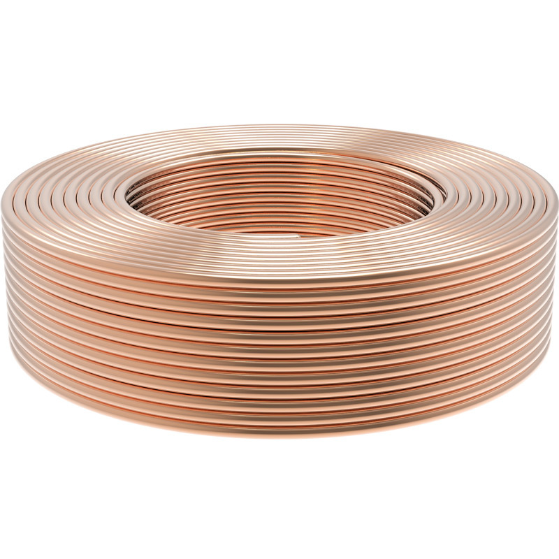 飞雕(feidiao)电线电缆 bv4平方 国标家用铜芯电线单芯单股铜线100米