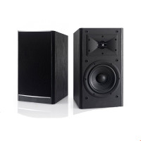AUUG P-10 专业音箱