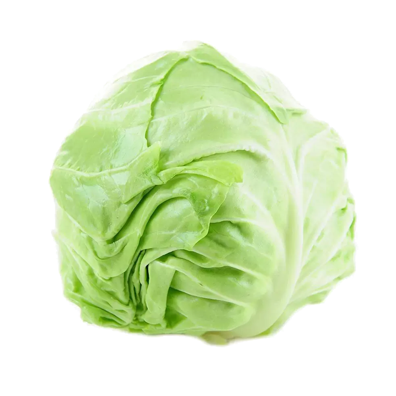 [西沛生鲜]新鲜包菜 净重8.5斤 农家自种甘蓝菜圆白菜当季蔬菜卷心包心菜高清大图