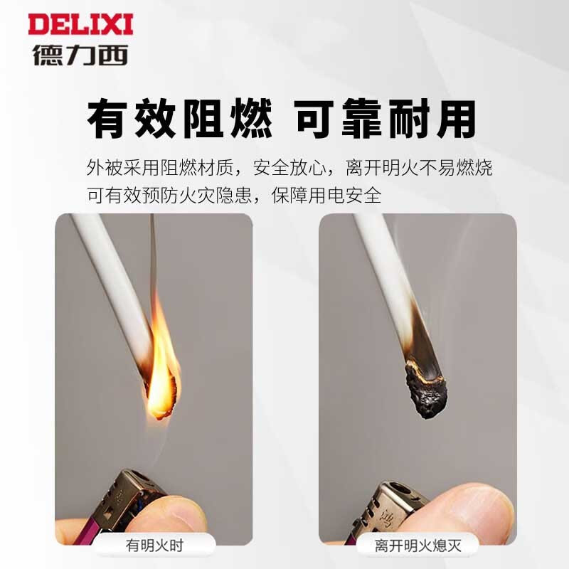 德力西RVV软护套线二芯2.5平方铜芯电线国标工程电缆电源线 白色100米 RVV 2*2.5